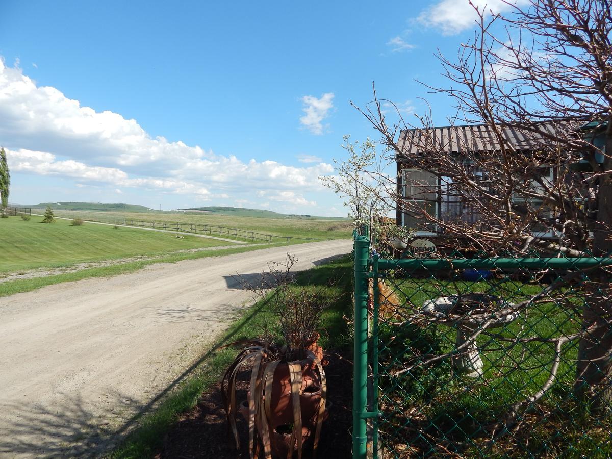 Idle Spurs Log Cabin Bed & Breakfast Black Diamond Εξωτερικό φωτογραφία